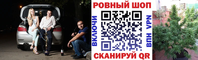 Цена Москва A-PVP  Мефедрон  Конопля  Псилоцибиновые грибы  Cocaine 