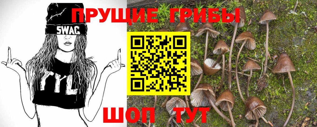 Псилоцибиновые грибы MAGIC MUSHROOMS  Вход с VPN  Москва 